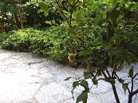d0023346_16183881.jpg