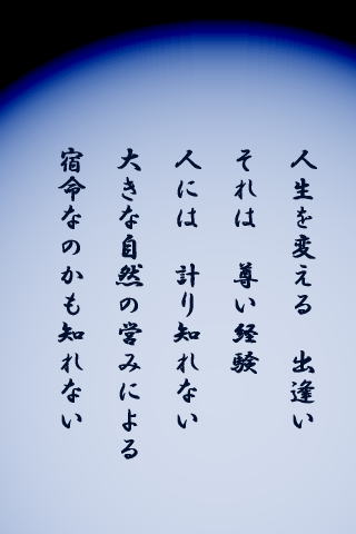 a0009747_2025139.jpg