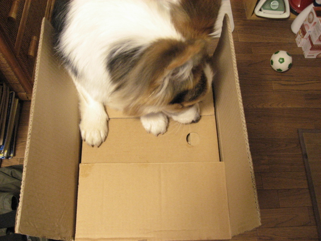 b0097747_8552120.jpg