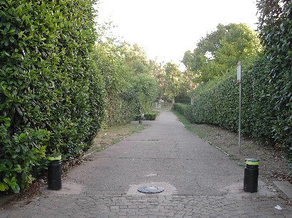 c0086649_4125968.jpg