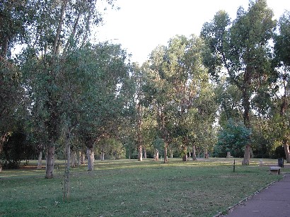 c0086649_4145578.jpg
