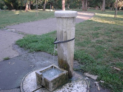 c0086649_4235231.jpg