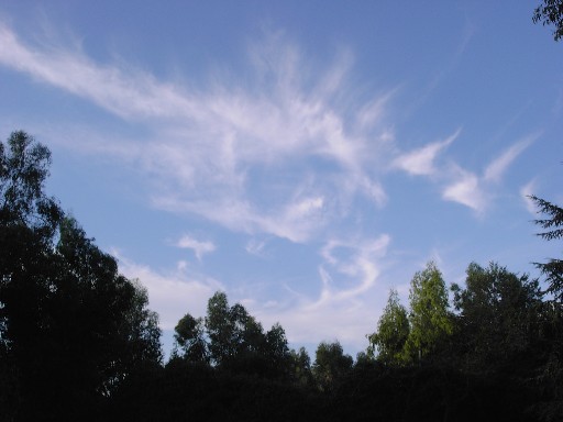 c0086649_436153.jpg