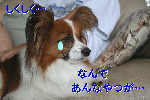 d0013149_0145142.jpg