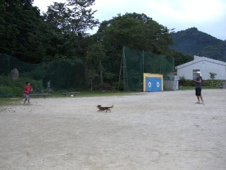 f0061056_1025148.jpg