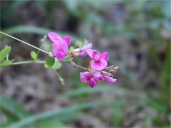 b0086858_154311.jpg