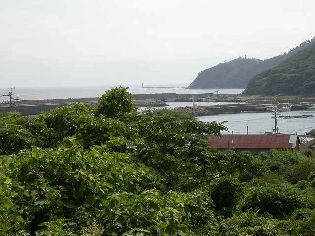 b0104861_17562662.jpg