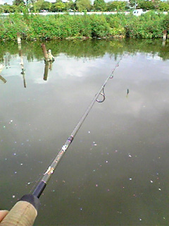 e0089761_0492142.jpg
