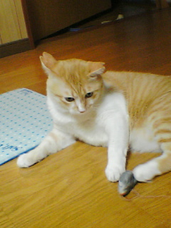 f0095271_417473.jpg