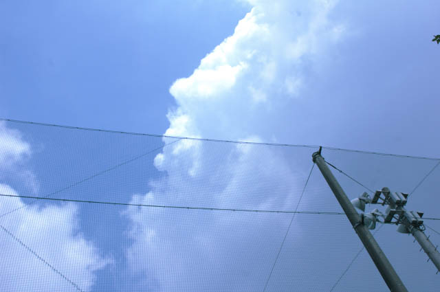 b0102780_22541146.jpg
