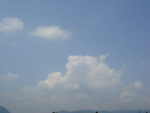 a0076187_3452484.jpg