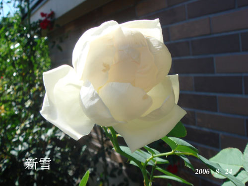 f0057006_14263280.jpg
