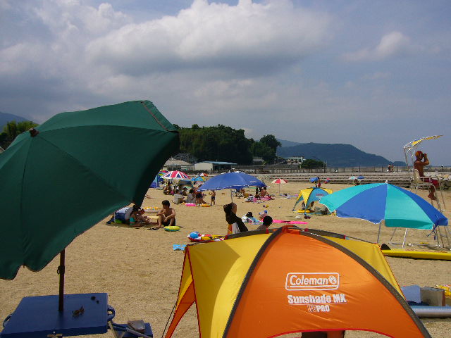 e0015108_383063.jpg