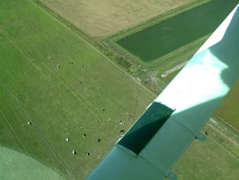 c0018716_14271425.jpg