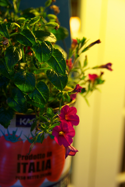 c0030717_2145516.jpg