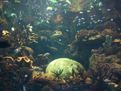 c0042319_1328577.jpg