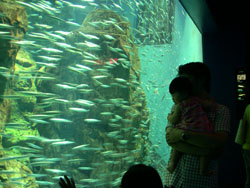 c0042319_13331493.jpg