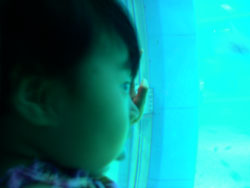 c0042319_13361946.jpg
