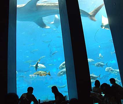 a0020622_20263269.jpg