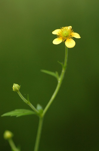c0027027_23411647.jpg