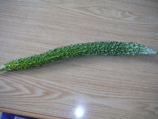 a0020929_19265577.jpg