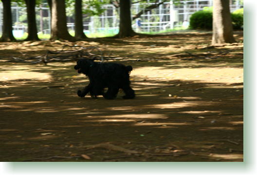 c0071334_9584987.jpg