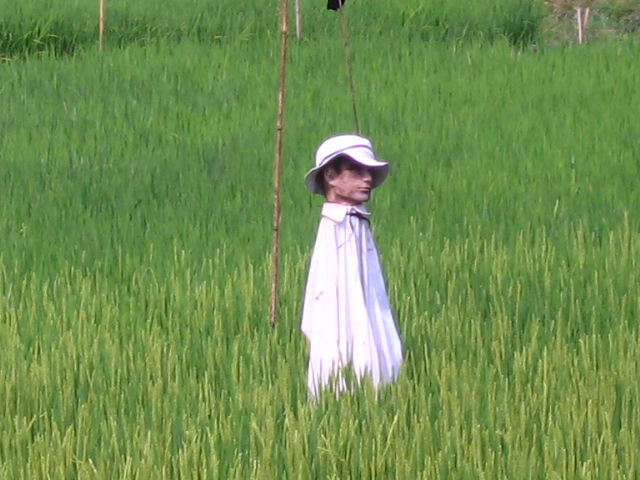 b0088037_2122038.jpg