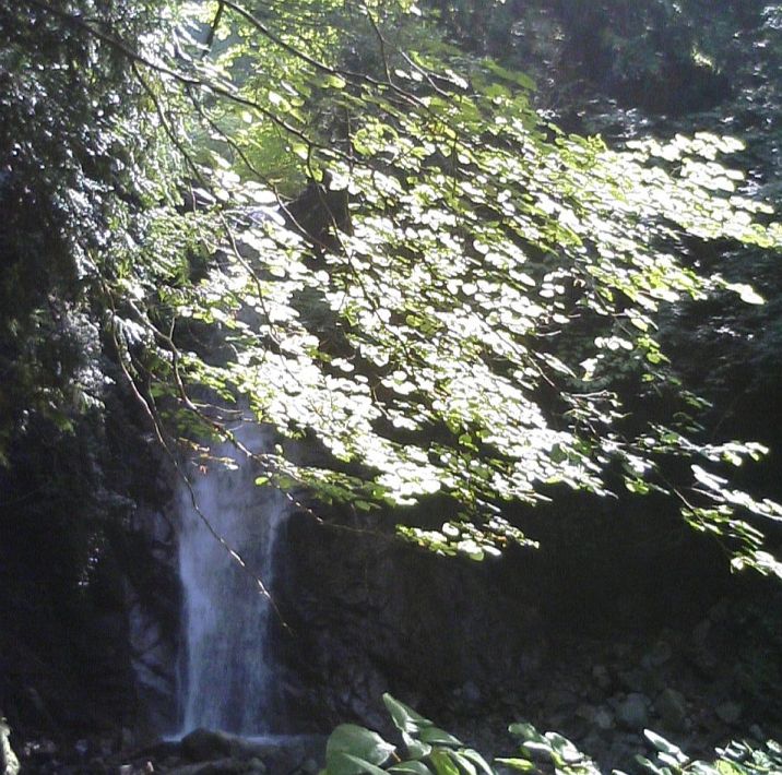 c0024743_1725351.jpg