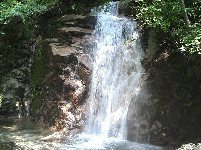c0024743_17255657.jpg