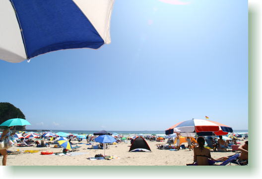 f0082348_925680.jpg