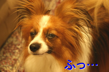 d0013149_03144.jpg