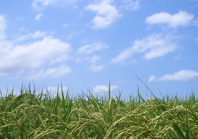 e0002850_2154947.jpg