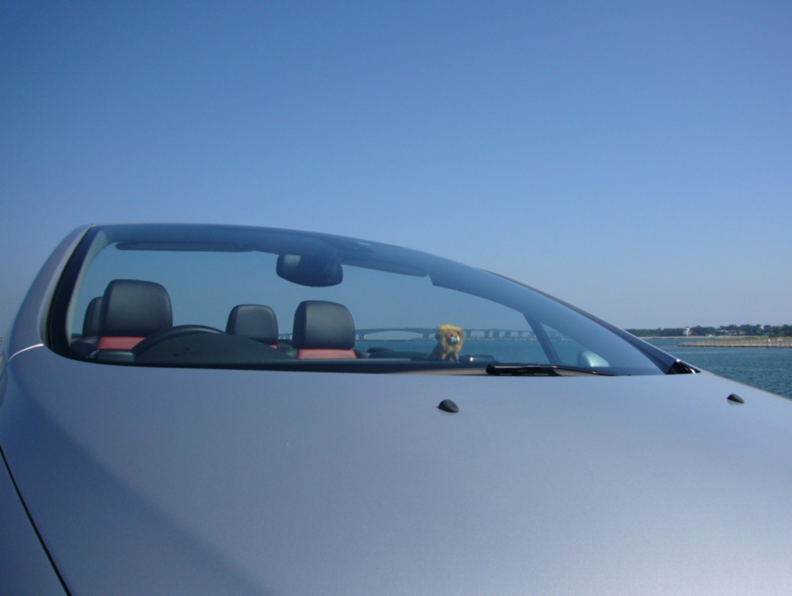 f0091250_2054830.jpg