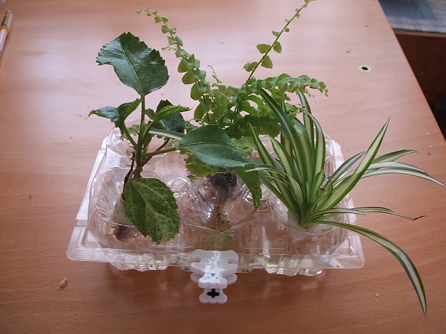 a0043851_2229868.jpg