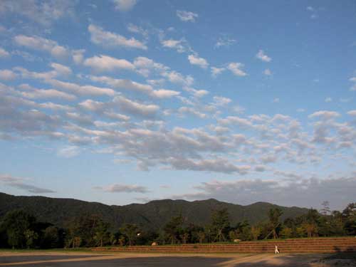 f0007956_7305226.jpg