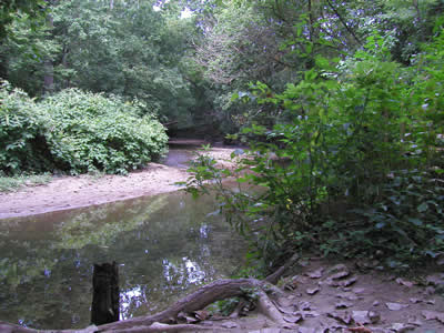 e0043258_2571899.jpg
