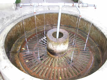 e0043258_2581649.jpg