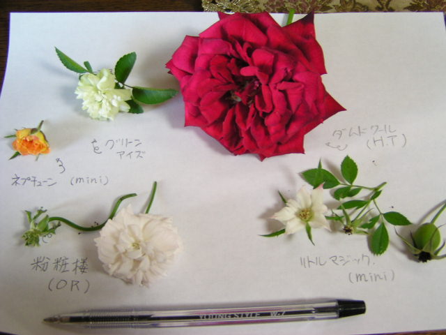 f0074659_2131235.jpg