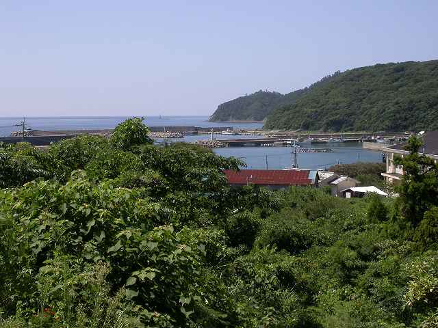 b0104861_1865639.jpg