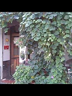 e0009666_042034.jpg