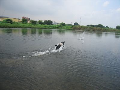 c0091679_12482616.jpg