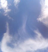 f0008692_19533641.jpg