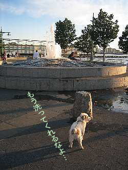c0064796_12234613.jpg