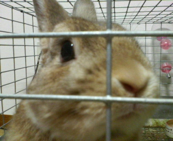c0090899_0371263.jpg