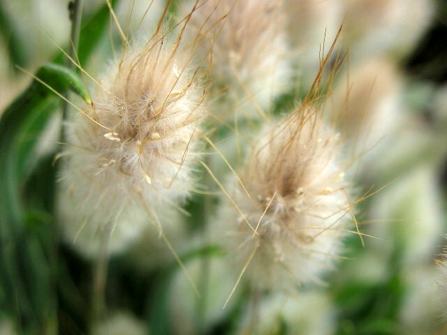 f0083400_8171187.jpg