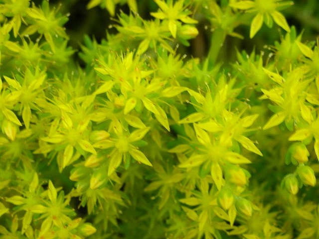 f0083400_895116.jpg