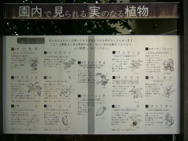 d0070702_28475.jpg