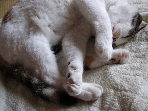 a0024005_11184185.jpg