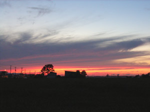 a0059206_19404486.jpg