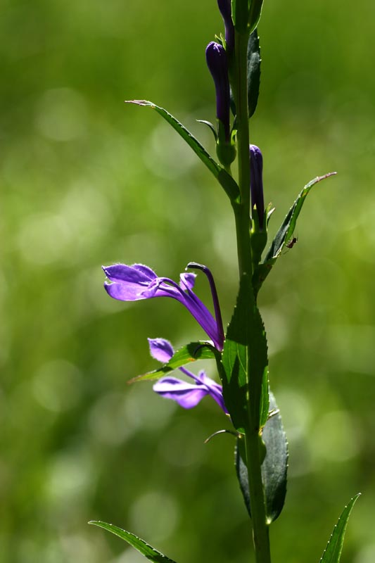 e0045106_21545541.jpg